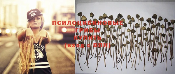 прущие крисы Балабаново